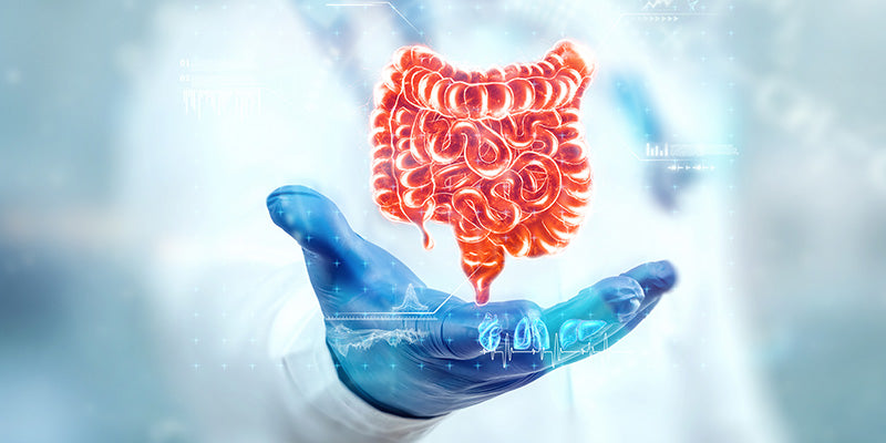 How to Improve Gut Health Naturally at Home with Ayurveda