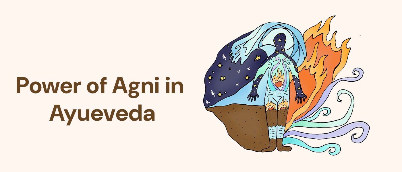 The Quiet Power of Agni: Why Your Digestion Decides Everything The Quiet Power of Agni: Why Your Digestion Decides Everything