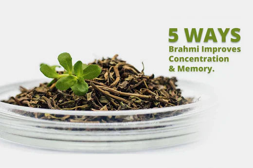 5 ways Brahmi Improves Concentration & Memory