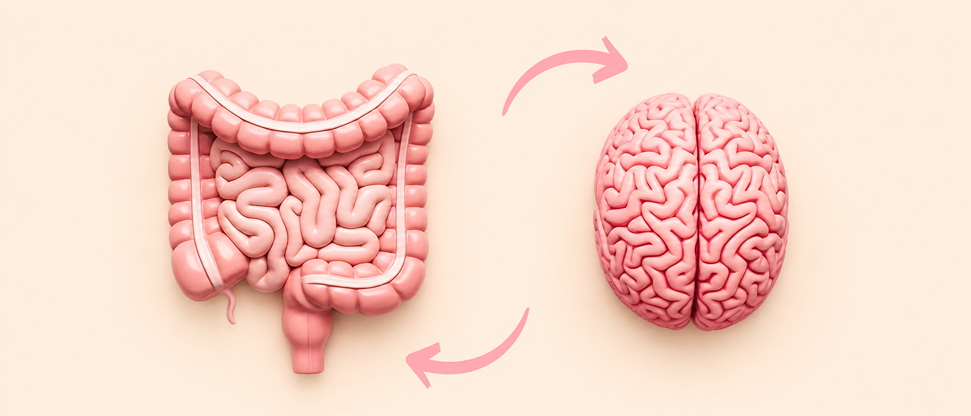 Your Gut Is Your Second Brain: 7 Digestive Warning Signs