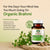 Brahmi Tablets- For memory and Stress Relief