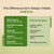 Brahmi Tablets- For memory and Stress Relief