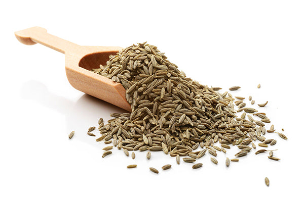 Fennel