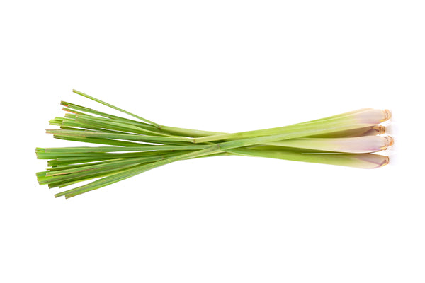 Lemongrass
