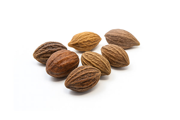 Haritaki (Terminalia chebula)