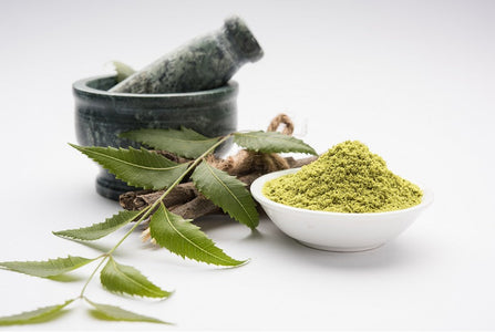 Benefits of Ayurvedic Toothpaste for Strong Teeth & Healthy Smile