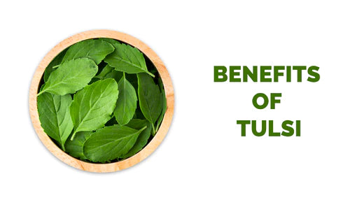 Benefits of Tulsi