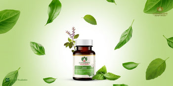 Benefits of Tulsi. Uses and Side Effects 