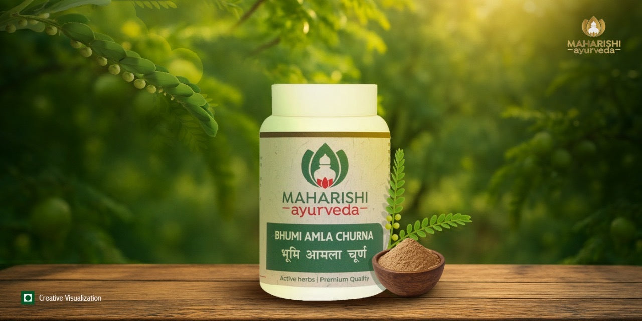 Bhumi Amla – Ayurvedic Herb for Liver Health, Digestion & Immunity