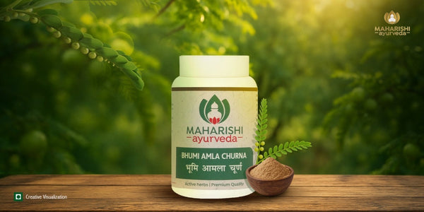 Bhumi Amla – Ayurvedic Herb for Liver Health, Digestion & Immunity