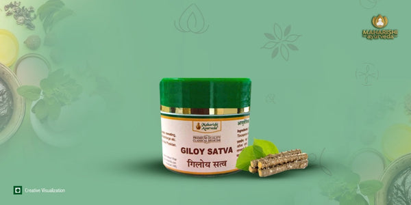 Giloy (Guduchi): Benefits, Uses, Forms & Side Effects in Ayurveda
