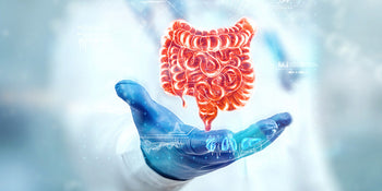 How to Improve Gut Health?