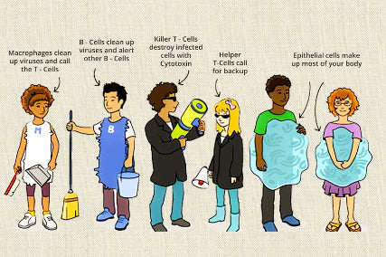 Immunity: Your Personal Bodyguard