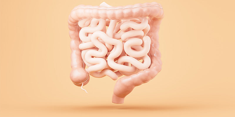 Natural Remedies to Improve Your Microbiome