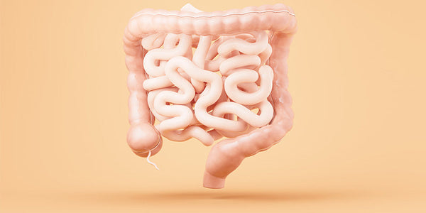 Natural Remedies to Improve Your Microbiome
