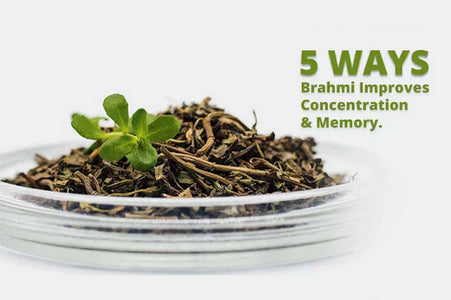 5 ways Brahmi Improves Concentration & Memory