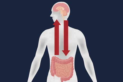 How Gut Health Affects Mental Health