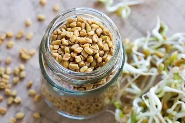 Amazing Benefits of Fenugreek