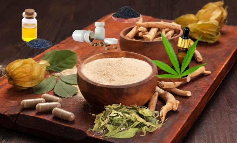 Ayurveda Isn’t ‘Slow’: It Deep-dives to Build Lasting Health