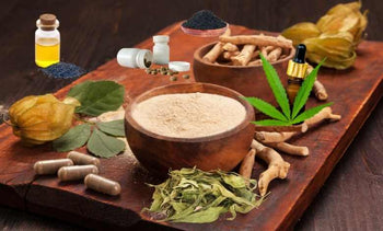 Ayurveda Isn’t ‘Slow’: It Deep-dives to Build Lasting Health