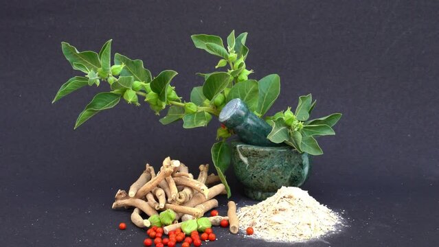 Ayurvedic Herbal Rasayana Therapy: How Soon Will You Feel Benefits?