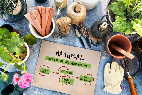 Why Choose Chemical- & Preservative-Free Formulas: An Ayurvedic View