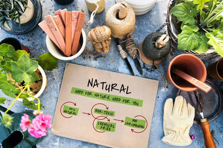 Why Choose Chemical- & Preservative-Free Formulas: An Ayurvedic View