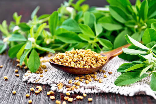 Fenugreek Seeds: Ayurvedic Benefits, Uses, Nutrition & Daily Consumption