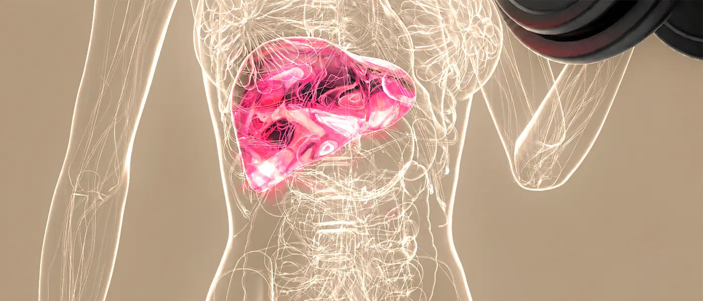 Grade 1 Fatty Liver: What Does It Mean and What Should You Do Next?