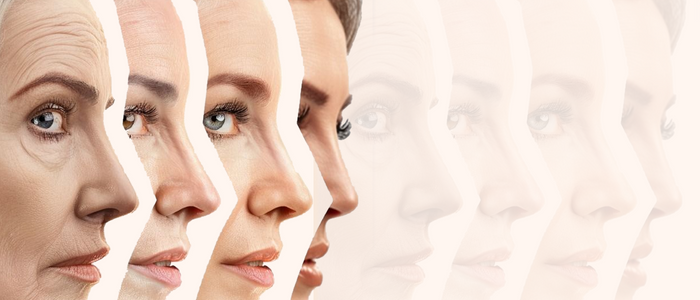 Ageing Gracefully: What Ayurveda Says About Immunity Over Time