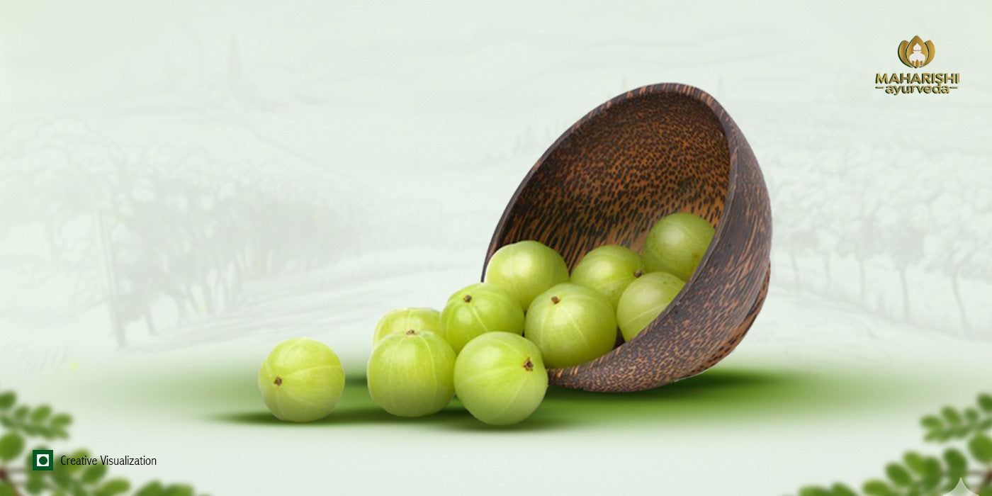 Organic Amla (Indian Gooseberry): The Ayurvedic Superfruit for Everyday Health
