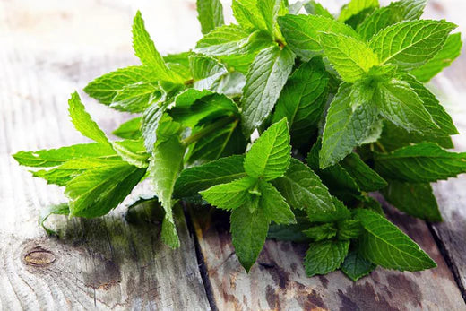 Benefits of Peppermint