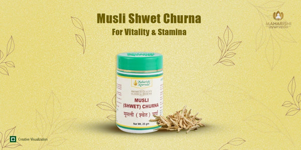 Safed Musli Benefits: Strength, Immunity & Reproductive Wellness
