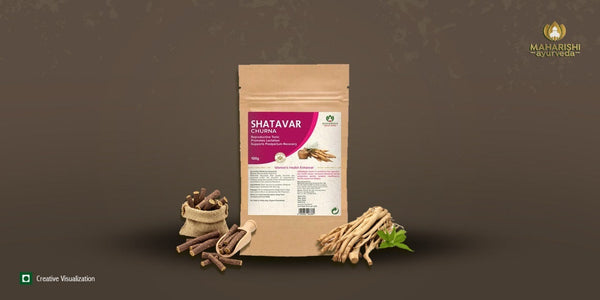 Shatavari : Natural Support for Women’s Health, Digestion & Immunity