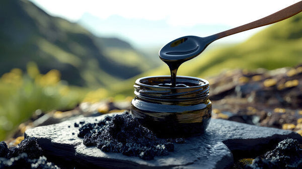 Shilajit Benefits for Women