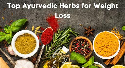 Top Ayurvedic herbs that can help you Lose Weight