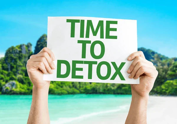 Why Your Body Needs a Detox — The Ayurvedic Science Behind It