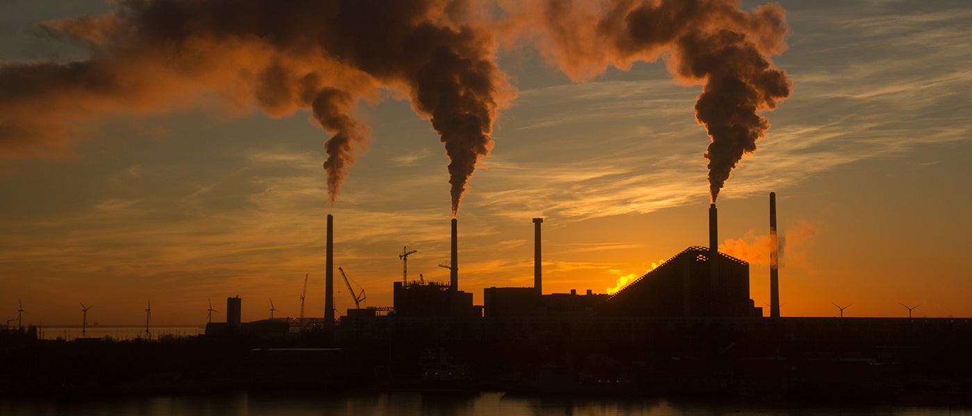 Ayurvedic Detox Rituals for Winter Pollution