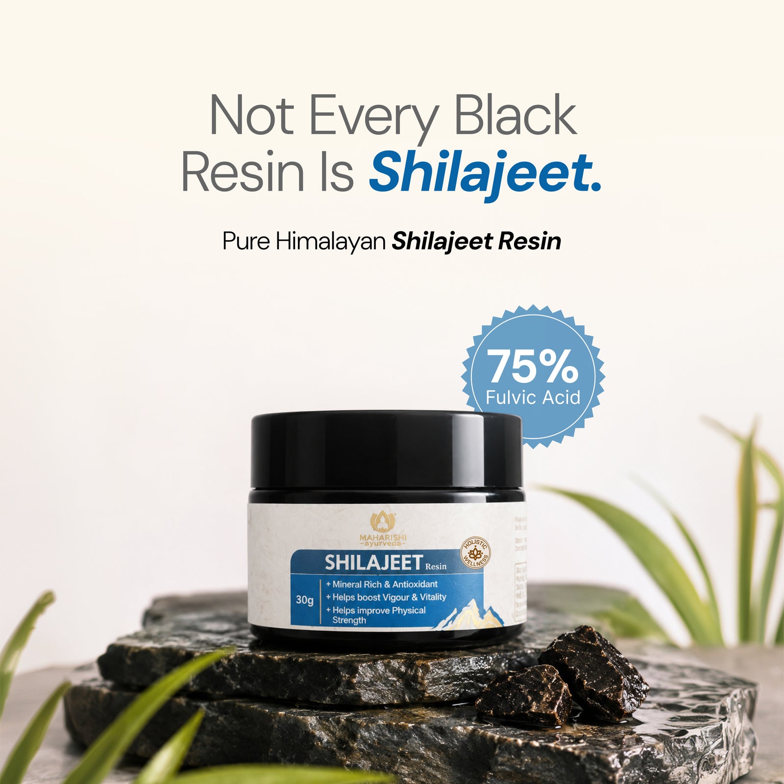 Pure Shilajit Resin | Mineral-Rich Vitality Booster
