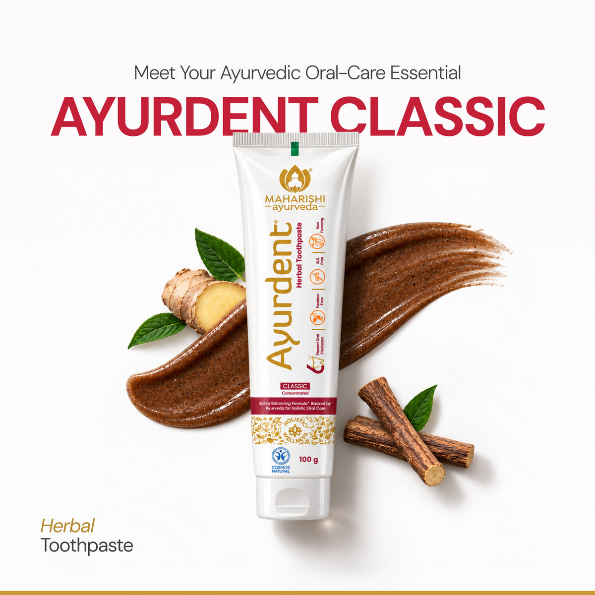 Ayurdent Classic Toothpaste