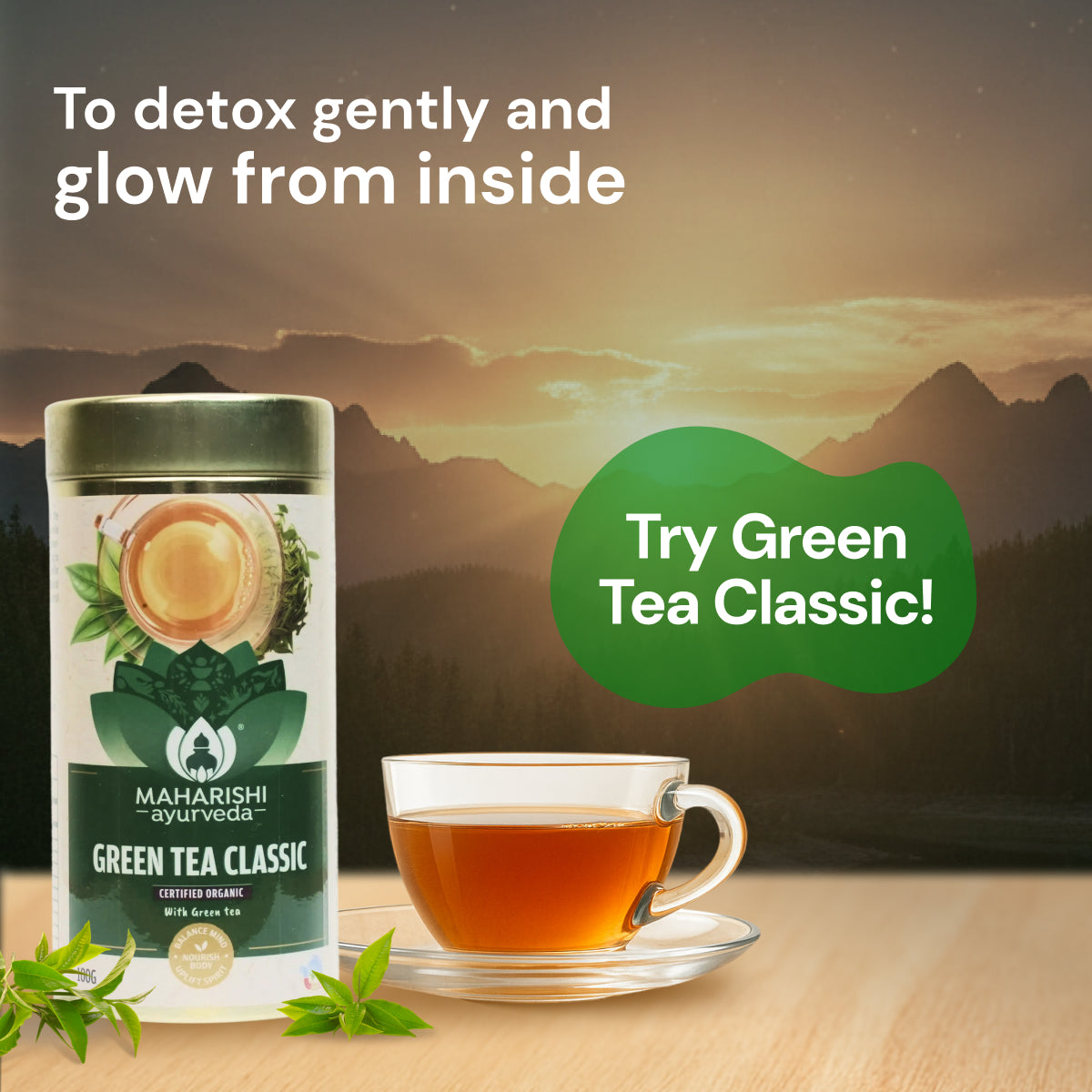 Green Tea Classic, Best Green Tea for Weight Loss & Vitality