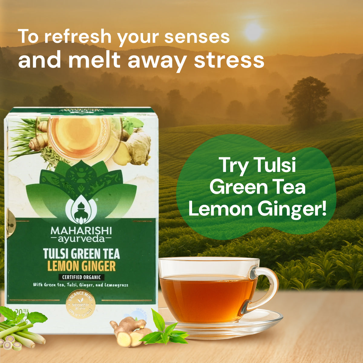 Tulsi Green Tea Lemon Ginger | Ayurvedic Stress Relief & Immunity