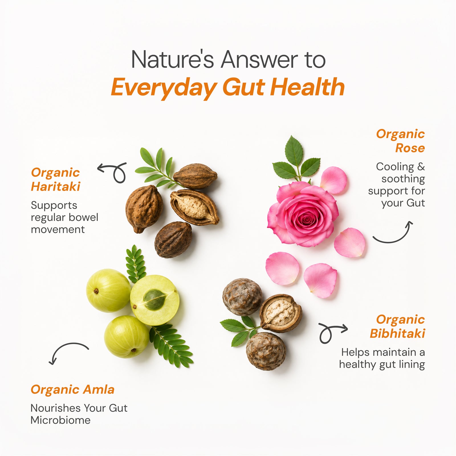 Maharishi Ayurveda Gut Health -For Digestion & Detox