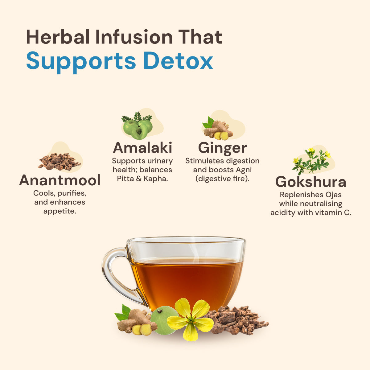 Pure Cleanse: Ayurvedic Detox Tea | Natural Purifying Herbal Blend