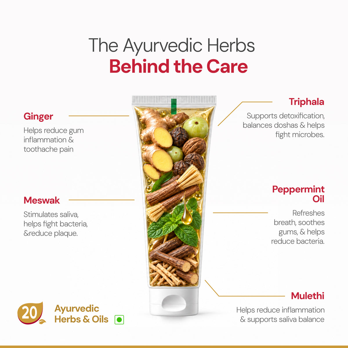 Ayurdent Classic – Ayurvedic Toothpaste for Toothache, Cavities & Sensitive Teeth