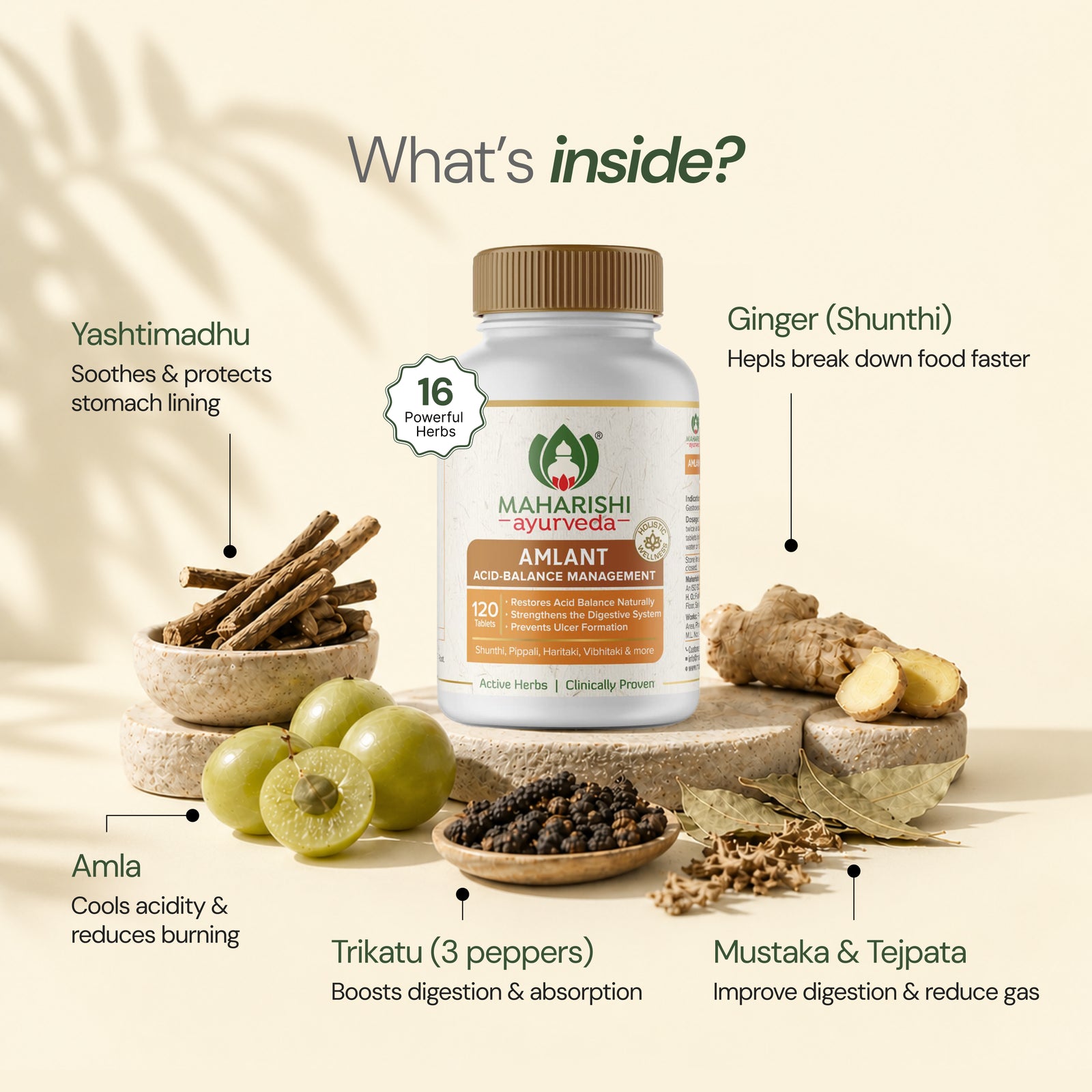 Maharishi Ayurveda Amlant Tablet-Ayurvedic Support for Gut Health & Acidity