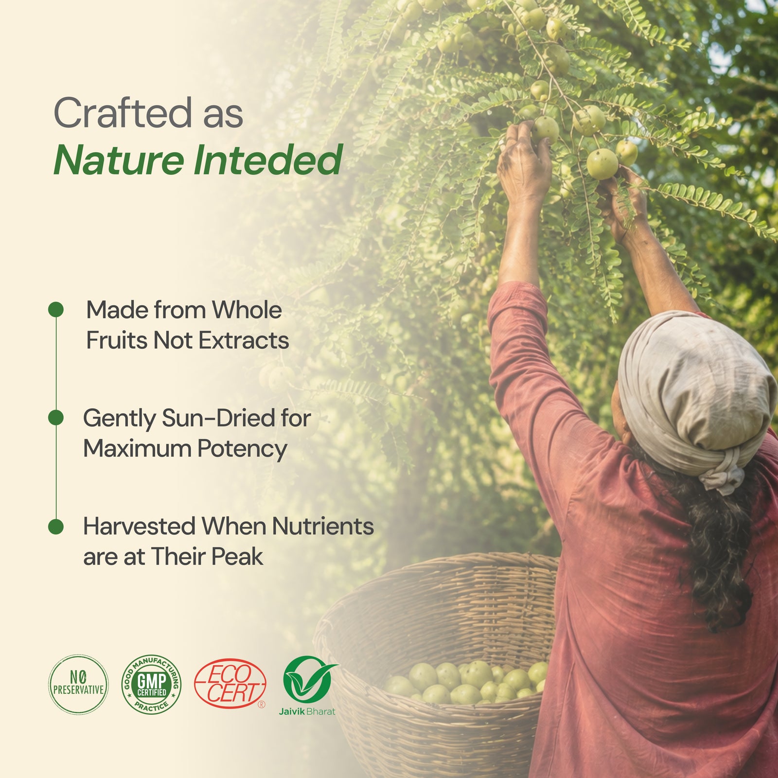 Organic Triphala Tablets | Gentle Gut Cleanse
