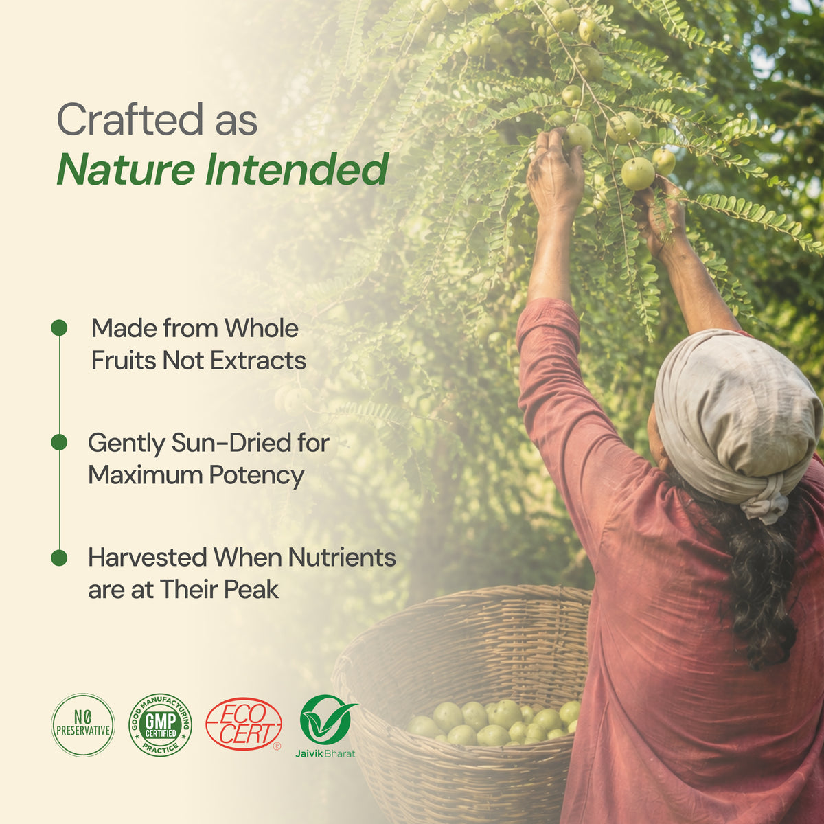 Organic Triphala Churna | Digestive Health & Natural Detox