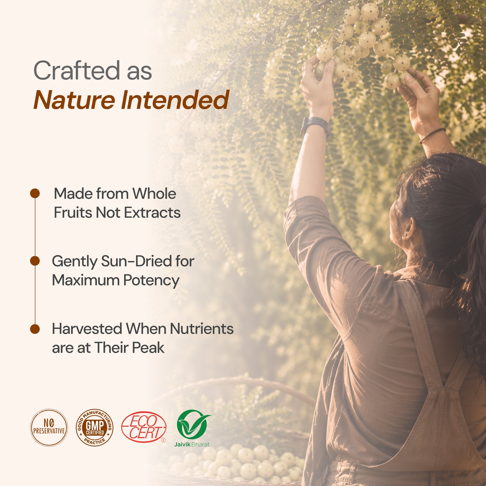 Maharishi Ayurveda Triphala Tablets – Digestive Detox & Gut Health Support