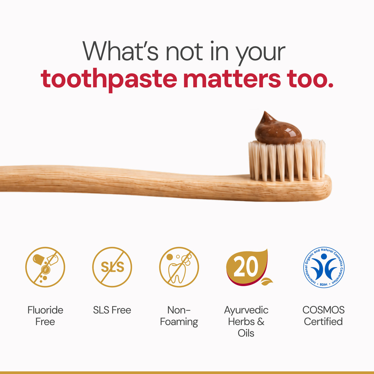 Ayurdent Classic Toothpaste